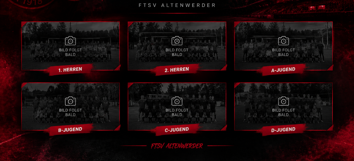 Team